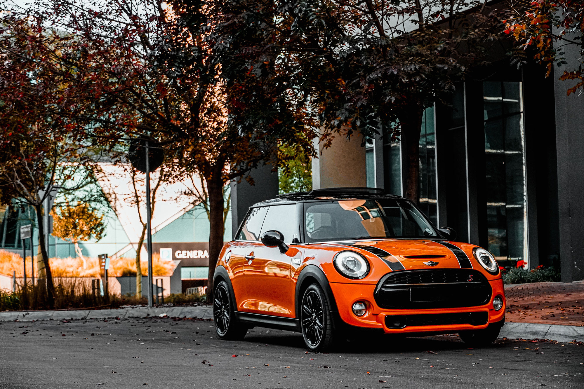 autogermany-most-common-mini-cooper-repairs-featured
